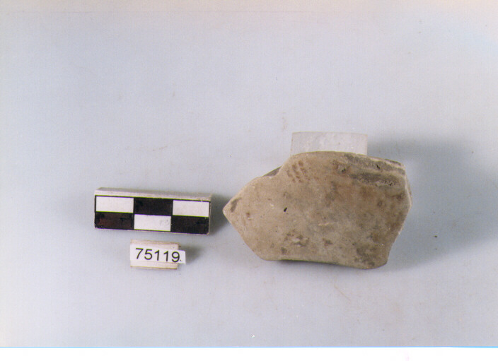 Parete, tipo E11, Ripoli - neolitico finale-Ripoli I (IV MILLENNIO a.C)