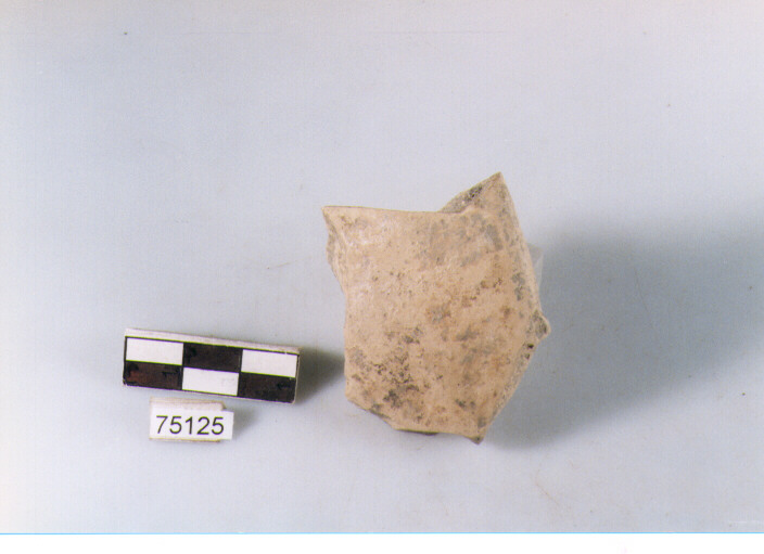 Parete, tipo E11, Ripoli - neolitico finale-Ripoli I (IV MILLENNIO a.C)