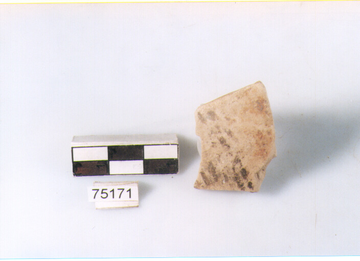 orlo, tipo E12a2, Ripoli - neolitico finale-Ripoli I (IV MILLENNIO a.C)