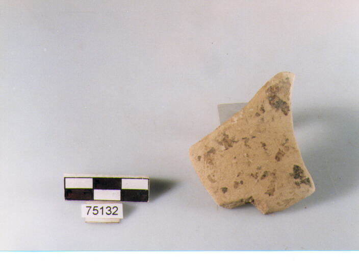 orlo, tipo E12a2, Ripoli - neolitico finale-Ripoli I (IV MILLENNIO a.C)