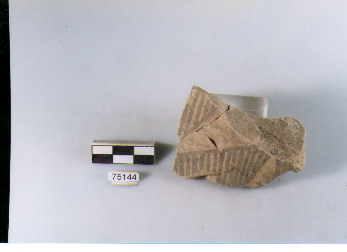 Parete, tipo E11, Ripoli - neolitico finale-Ripoli I (IV MILLENNIO a.C)