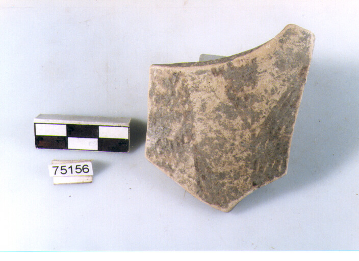 Parete, tipo E11, Ripoli - neolitico finale-Ripoli I (IV MILLENNIO a.C)