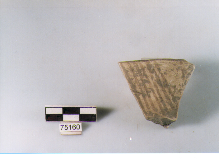 orlo, tipo E12a2, Ripoli - neolitico finale-Ripoli I (IV MILLENNIO a.C)