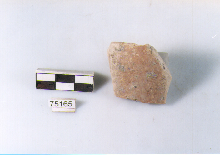 orlo, tipo E12a2, Ripoli - neolitico finale-Ripoli I (IV MILLENNIO a.C)