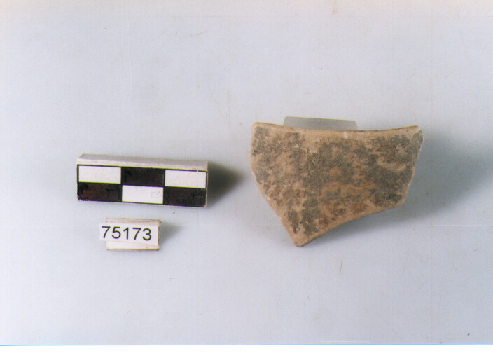 orlo, tipo E12a2, Ripoli - neolitico finale-Ripoli I (IV MILLENNIO a.C)