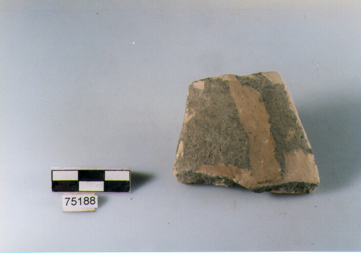 orlo, tipo E12, Ripoli - neolitico finale-Ripoli I (IV MILLENNIO a.C)