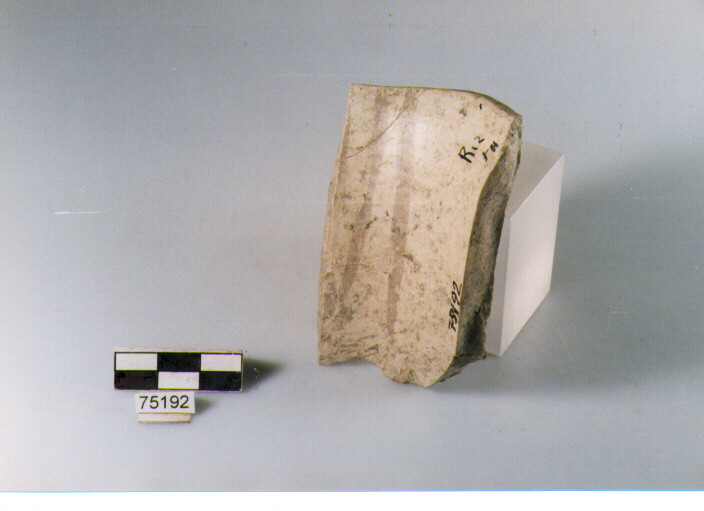 vaso a fiasco, tipo F2, Ripoli - neolitico finale-Ripoli I (IV MILLENNIO a.C)