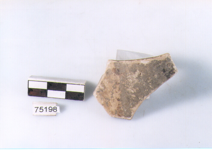 orlo, tipo E12a2, Ripoli - neolitico finale-Ripoli I (IV MILLENNIO a.C)