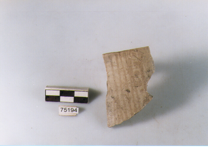 boccale, tipo F1, Ripoli - neolitico finale-Ripoli I (IV MILLENNIO a.C)