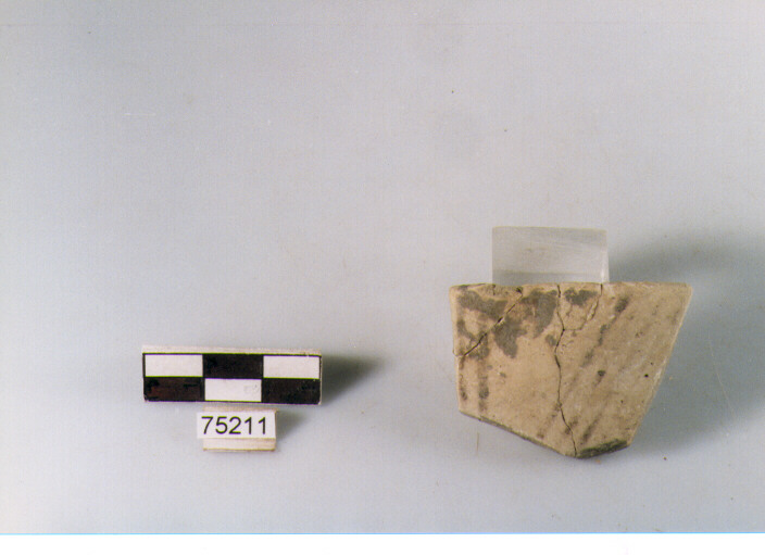 orlo, tipo E12a2, Ripoli - neolitico finale-Ripoli I (IV MILLENNIO a.C)