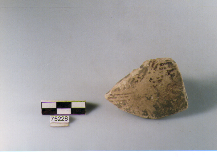 Parete, tipo E11, Ripoli - neolitico finale-Ripoli I (IV MILLENNIO a.C)