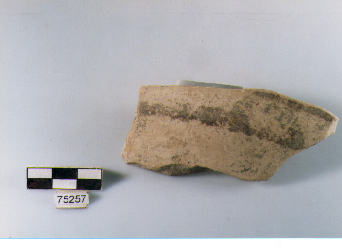 Parete, tipo E11, Ripoli - neolitico finale-Ripoli I (IV MILLENNIO a.C)