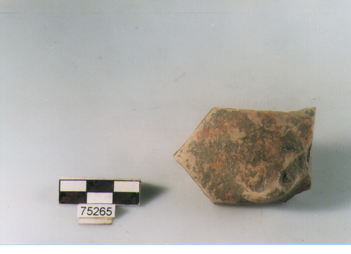 parete, tipo E13, Ripoli - neolitico finale-Ripoli I (IV MILLENNIO a.C)