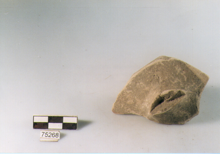 attacco di ansa, tipo A9 Ripoli - neolitico finale-Ripoli I (IV MILLENNIO a.C)