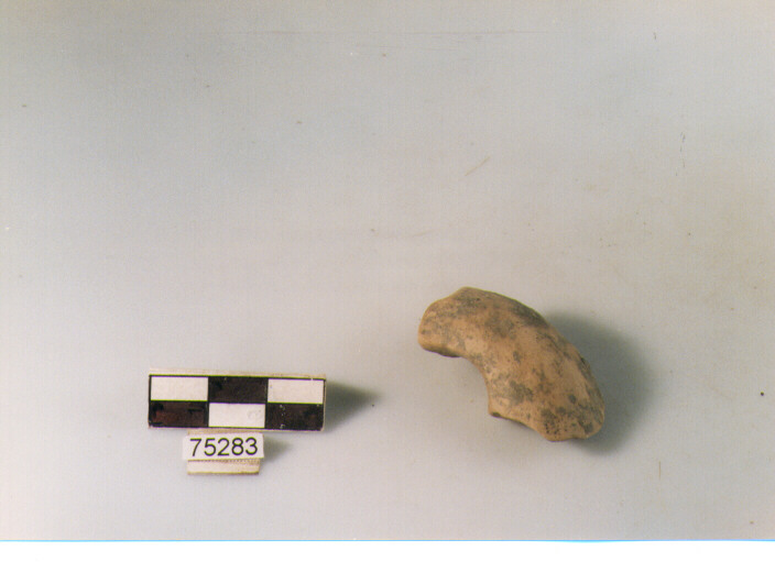 ansa ad anello, tipo A1 Ripoli - neolitico finale-Ripoli I (IV MILLENNIO a.C)