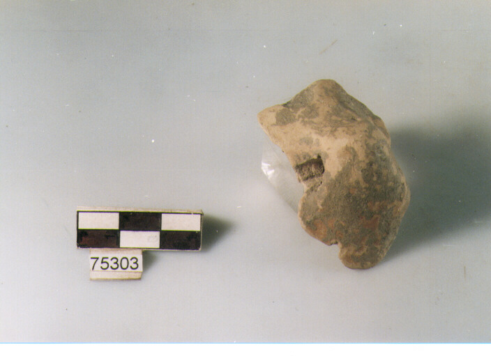 presa forata, tipo A12 Ripoli - neolitico finale-Ripoli I (IV MILLENNIO a.C)