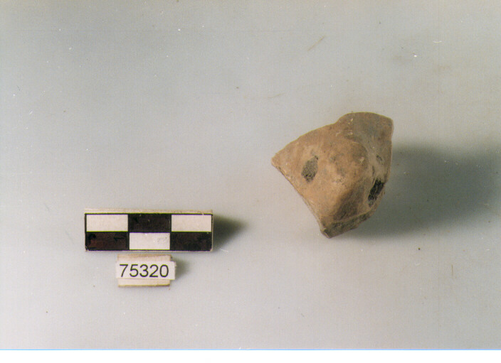 presa forata, tipo A12 Ripoli - neolitico finale-Ripoli I (IV MILLENNIO a.C)