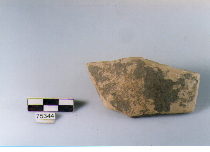 orlo, tipo E12, Ripoli - neolitico finale-Ripoli I (IV MILLENNIO a.C)