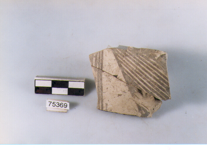 Parete, tipo E11, Ripoli - neolitico finale-Ripoli I (IV MILLENNIO a.C)