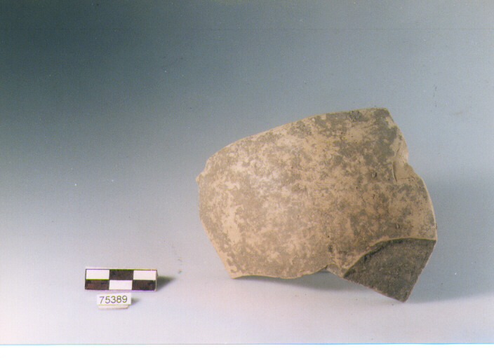 parete, tipo E15, Ripoli - neolitico finale-Ripoli I (IV MILLENNIO a.C)