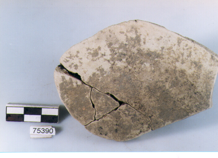 Parete, tipo E11, Ripoli - neolitico finale-Ripoli I (IV MILLENNIO a.C)