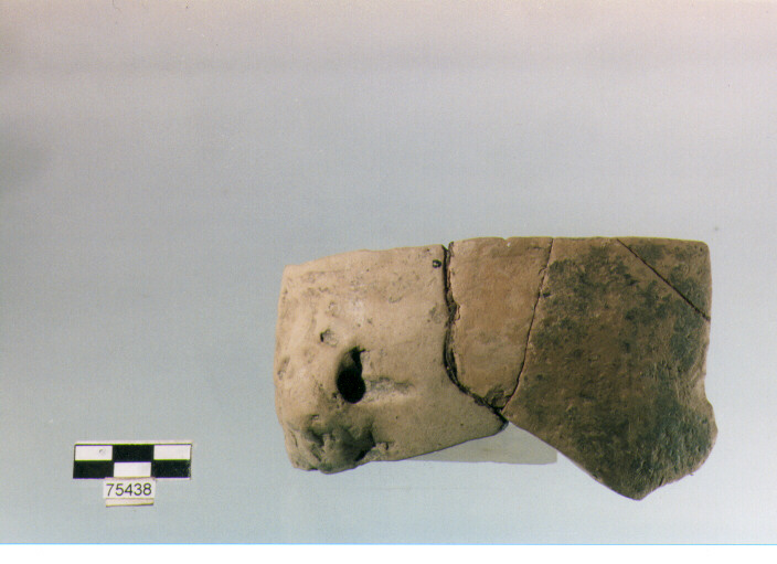 tazza, tipo F33c Ripoli - neolitico finale-Ripoli (IV MILLENNIO a.C)