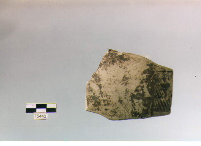 Parete, tipo E11 Ripoli - neolitico finale-Ripoli (IV MILLENNIO a.C)