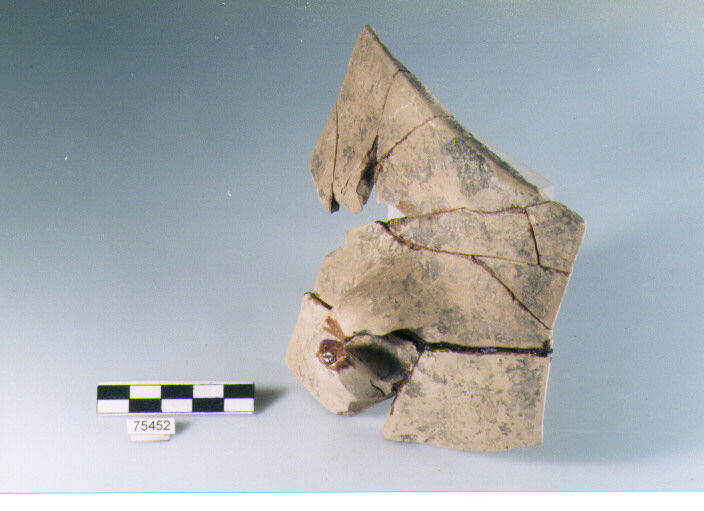 olla ovoide, tipo F11 Ripoli - neolitico finale-Ripoli I (IV MILLENNIO a.C)