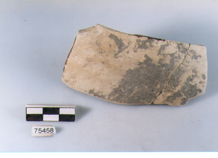 parete, tipo E15, Ripoli - neolitico finale-Ripoli I (IV MILLENNIO a.C)