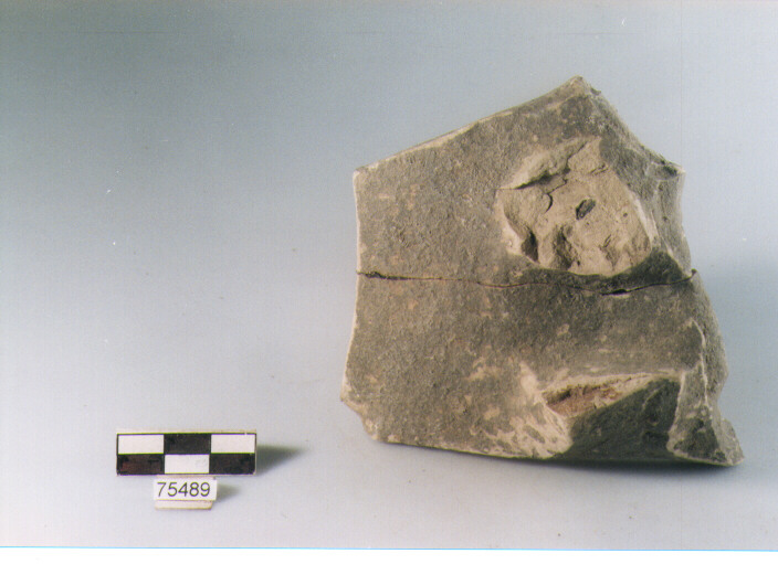 attacco di ansa, tipo A9a Ripoli - neolitico finale-Ripoli I (IV MILLENNIO a.C)