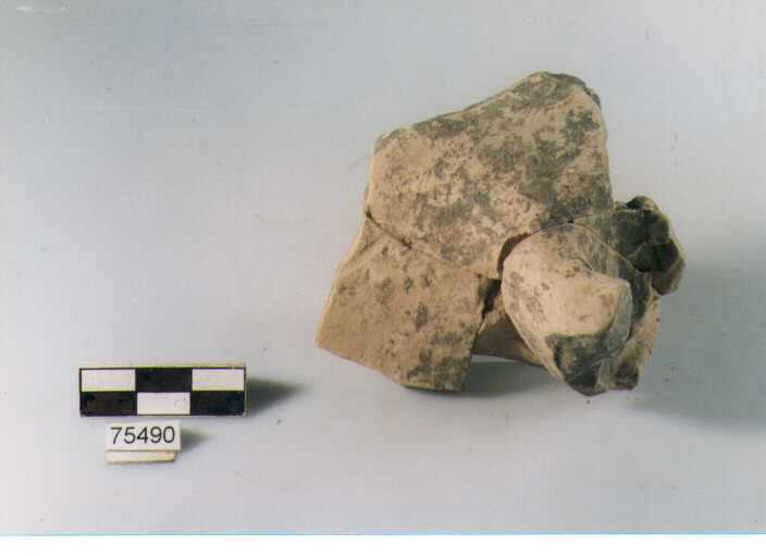 ansa ad anello, tipo A1 Ripoli - neolitico finale-Ripoli I (IV MILLENNIO a.C)