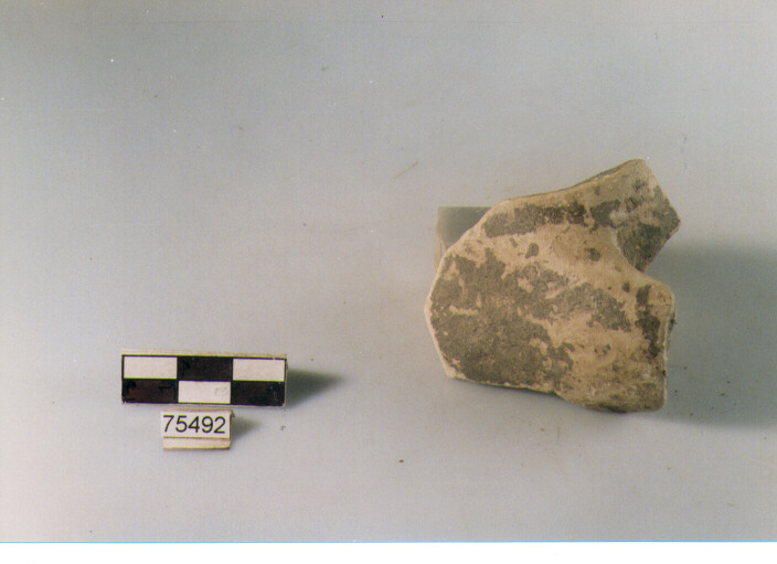 ansa ad anello, tipo A1 Ripoli - neolitico finale-Ripoli I (IV MILLENNIO a.C)