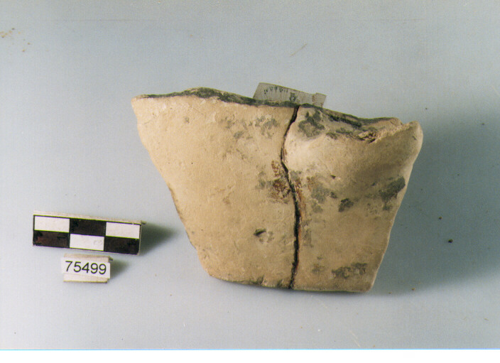 orlo, tipo E12 Ripoli - neolitico finale-Ripoli I (IV MILLENNIO a.C)