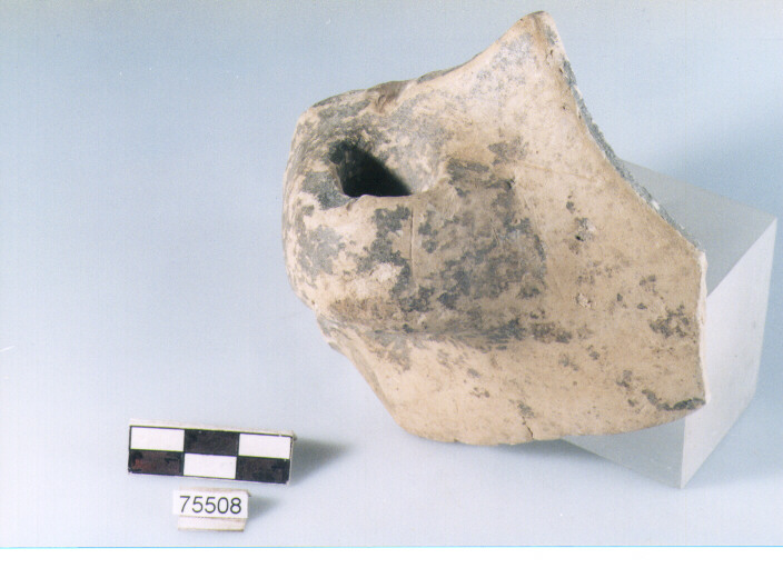 ansa ad anello, tipo E12 Ripoli - neolitico finale-Ripoli I (IV MILLENNIO a.C)