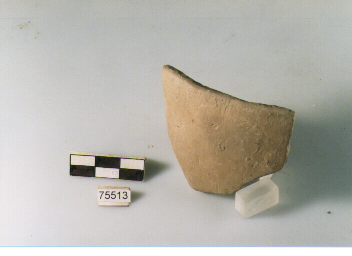 orlo, tipo E4 Ripoli - neolitico finale-Ripoli I (IV MILLENNIO a.C)