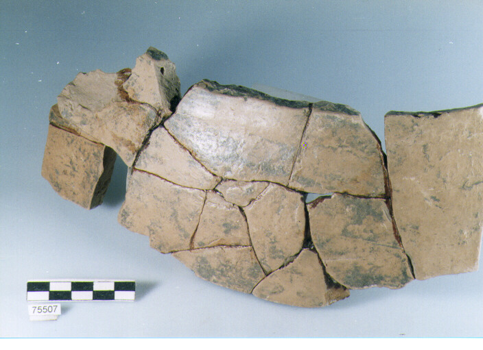 parete, tipo E15 Ripoli - neolitico finale-Ripoli I (IV MILLENNIO a.C)