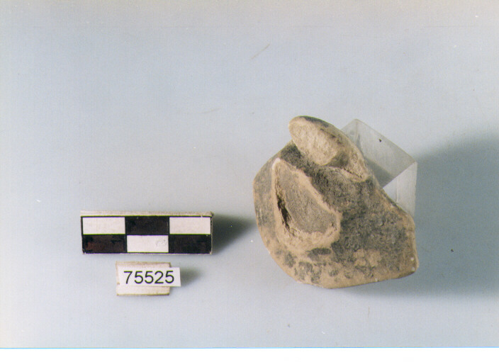 ansa ad anello, tipo E12 Ripoli - neolitico finale-Ripoli I (IV MILLENNIO a.C)