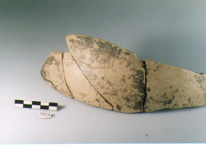 parete, tipo E15 Ripoli - neolitico finale-Ripoli I (IV MILLENNIO a.C)