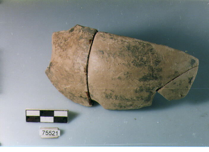 parete carenata, tipo E10 Ripoli - neolitico finale-Ripoli I (IV MILLENNIO a.C)