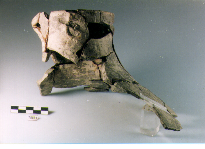 vaso a fiasco, tipo F2 Ripoli - neolitico finale-Ripoli I (IV MILLENNIO a.C)