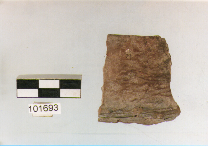 orlo, tipo E6, Grotta Sant'Angelo - età del bronzo(?) (sec. XX-X a.C)