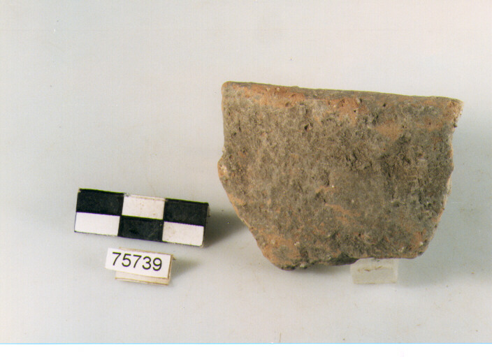 orlo, tipo E12 Ripoli - neolitico finale-Ripoli III (IV MILLENNIO a.C)