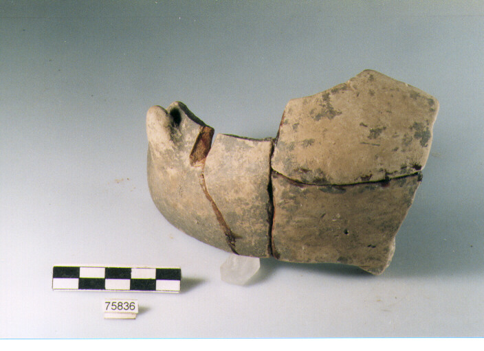 parete, tipo E15 Ripoli - neolitico finale-Ripoli I (IV MILLENNIO a.C)