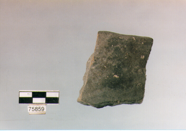 olla ovoide, tipo F8, Ripoli - neolitico finale-Ripoli (IV MILLENNIO a.C)