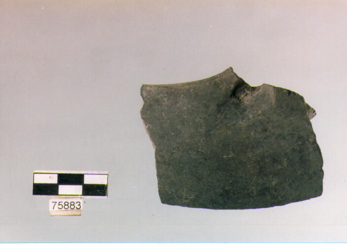 olla globulare, tipo F3, Ripoli - neolitico finale-Ripoli (IV MILLENNIO a.C)