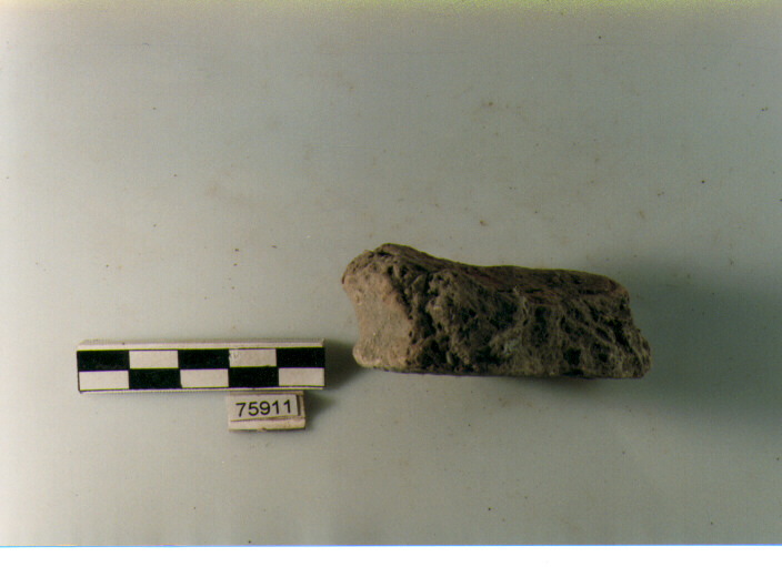 frammento, tipo E 5, Ripoli - neolitico finale-Ripoli (IV MILLENNIO a.C)