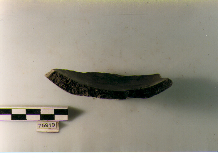 Fondo, tipo E 1a, Ripoli - neolitico finale-Ripoli (IV MILLENNIO a.C)