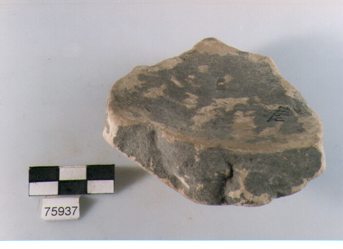 Fondo, tipo E 1a, Ripoli - neolitico finale-Ripoli (IV MILLENNIO a.C)