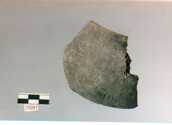 olla globulare, tipo F3, Ripoli - neolitico finale-Ripoli (IV MILLENNIO a.C)