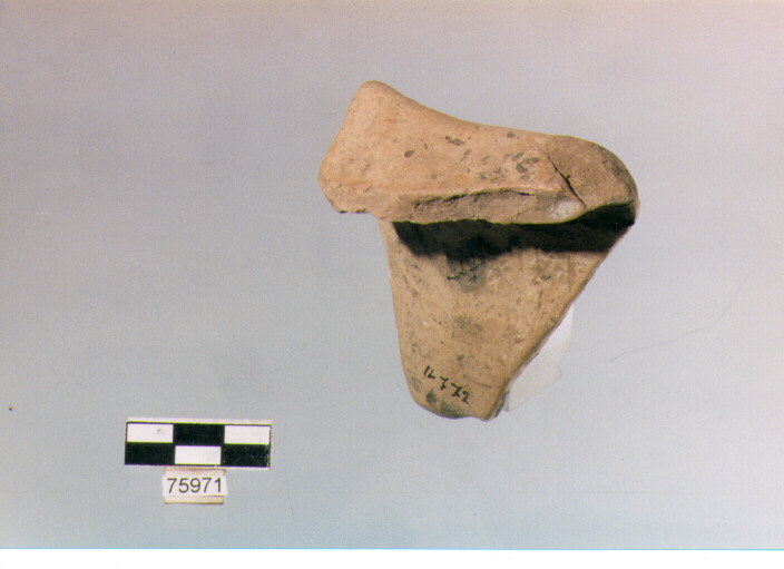 olla ovoide, tipo F 8, Ripoli - neolitico finale-Ripoli (IV MILLENNIO a.C)